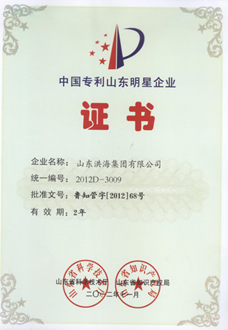 中國專利山東明星企業(yè)稱號 中國專利山東明星企業(yè)稱號